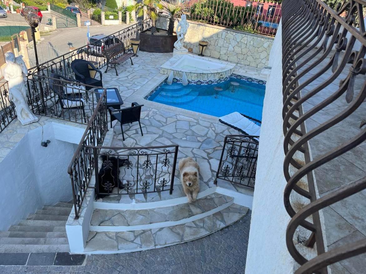 Homestay L'ile Aux Anges Saint-Andre (Alpes-Maritimes)