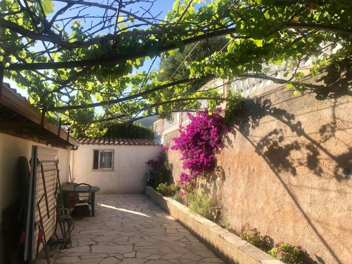 L'ile Aux Anges Saint-Andre (Alpes-Maritimes)