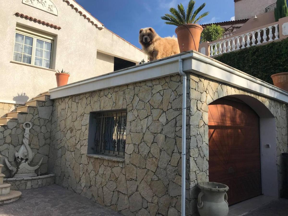Homestay L'ile Aux Anges *